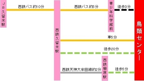 交通案内図