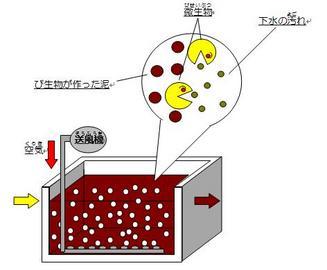 反応タンクの中で微生物が汚れを分解している図
