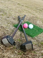 グラウンド・ゴルフの用具の画像