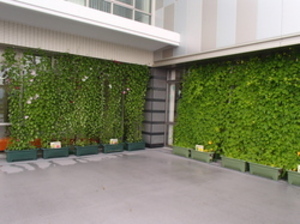 宮ノ陣クリーンセンターの緑のカーテンの画像