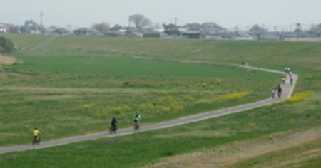 緑のサイクリングイメージ