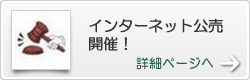 因特网公开出售召开！