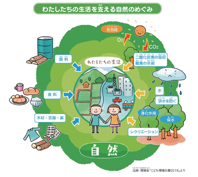 わたしたちの生活を支える自然のめぐみ