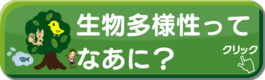 生物多様性ってなんだろう？