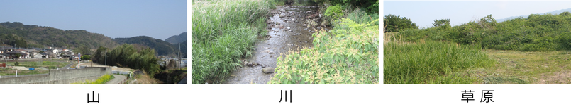 山、川、草原の画像