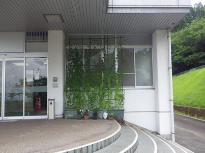 桜花台体育館の緑のカーテンの写真