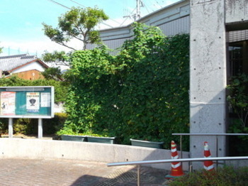 耳納市民センターの緑のカーテン画像