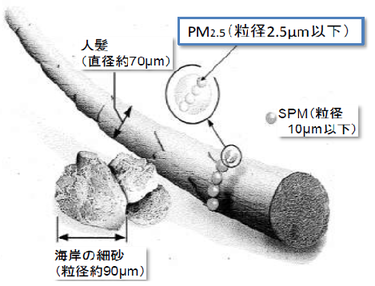 PM2.5の大きさを示した概念図