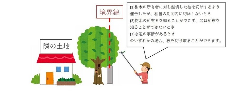 越境された土地の所有者は、場合により枝を自ら切り取ることができます。