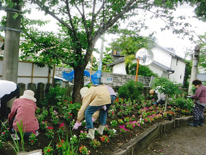 枝光にじ色花壇