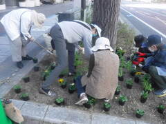 シティプラザ前花壇植え替え作業風景