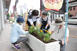 花人さんによるプランターの花植え作業風景