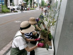 シティプラザ周辺プランター花植替え風景