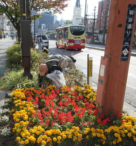 くるめ道守ボランティア風景