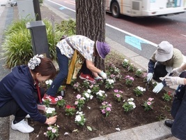 花人さん（シティプラザ花壇花植状況）