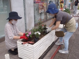 花人さん（シティプラザプランター花植状況）