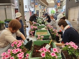 花人さん（二番街花植状況）