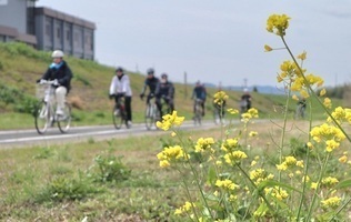 緑のサイクリング