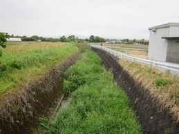 土砂撤去前の泉川の状況写真