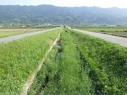 土砂撤去前の千ノ尾川の状況写真