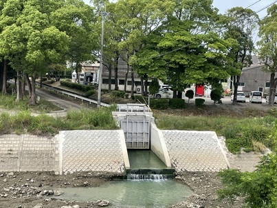 大石町逆流防止ゲート整備完了後の写真