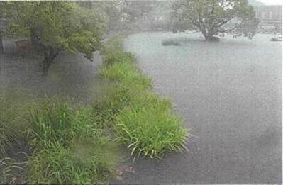 冠水時の白鳥の池の写真