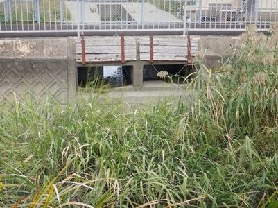 宇田貫川フラップゲート整備前の写真