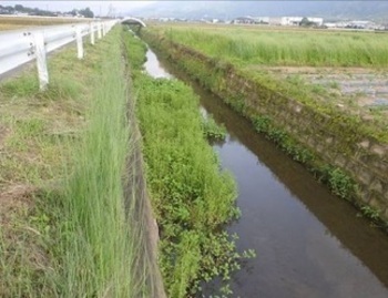 江川浚渫の着工前の写真