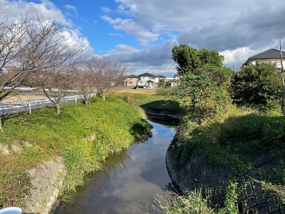 長池川の現状の写真