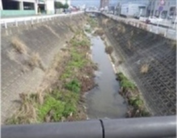 下弓削川浚渫の着工前の写真