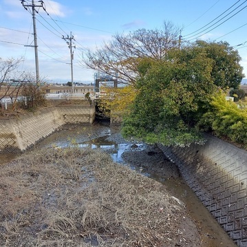 草場川(浚渫前)の写真