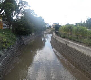 臼井川の土砂堆積状況写真