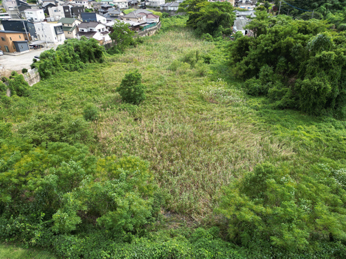 大ハサコ池（荒木町）の浚渫前の状況