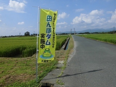 実施中の田んぼの状況