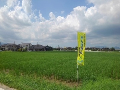 田んぼダムのぼりの写真