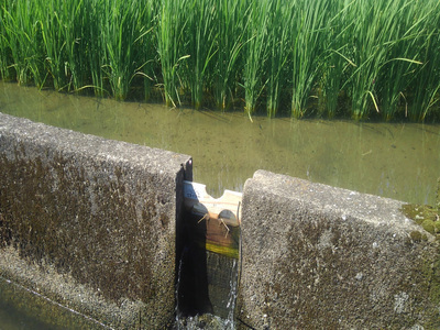 令和７年度田んぼダム用のせき板設置状況の写真