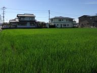 第1号生産緑地地区現地写真