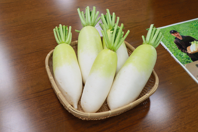 ミニ大根「美小姫」