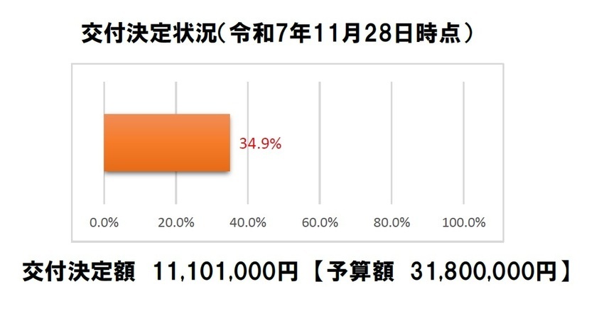 令和7年10月31日時点での交付決定状況です。交付決定額は予算額31,800,000円のうち、8,138,000円（25.6％）です。