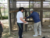 飼育体験をしている様子