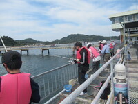 海釣りをしている様子