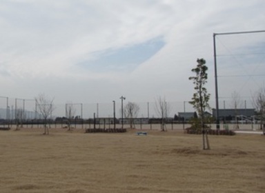 東部運動公園芝生広場