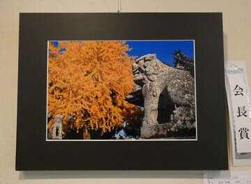 作品名「こま犬」の写真