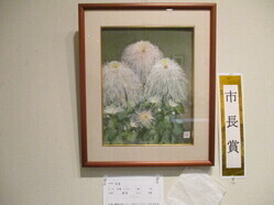 作品名「乱菊」の写真