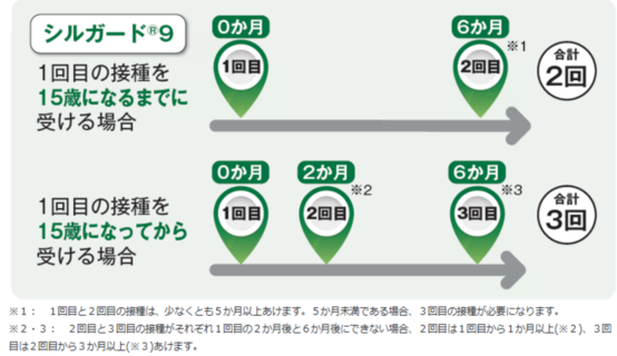 9価(シルガード9)のスケジュール