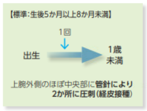 BCGの予防接種スケジュールです