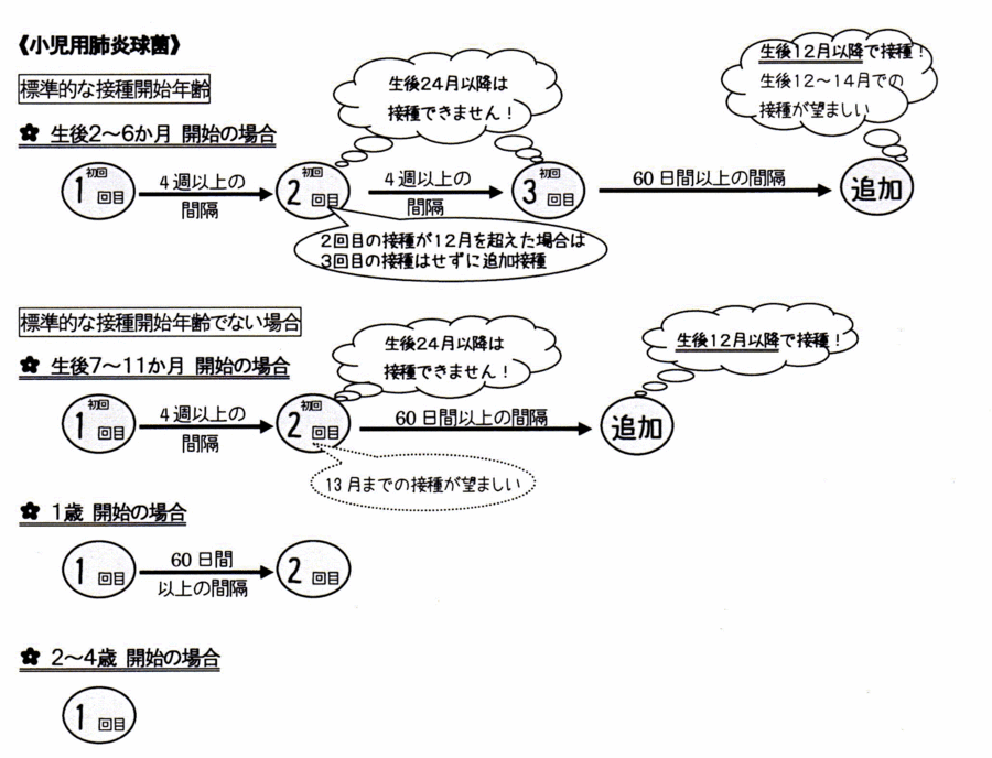 小児用肺炎球菌の接種スケジュール