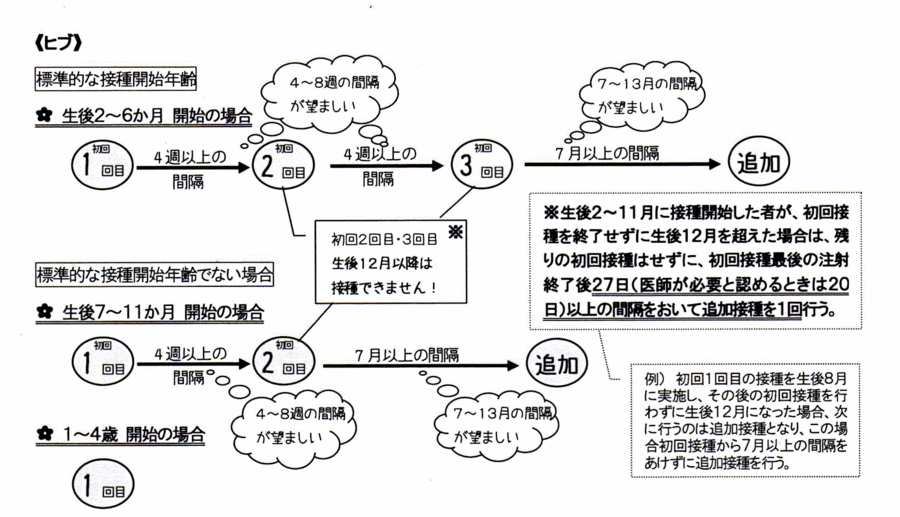 ヒブワクチンの接種スケジュール