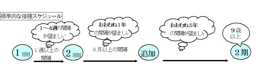 日本脳炎の接種スケジュール