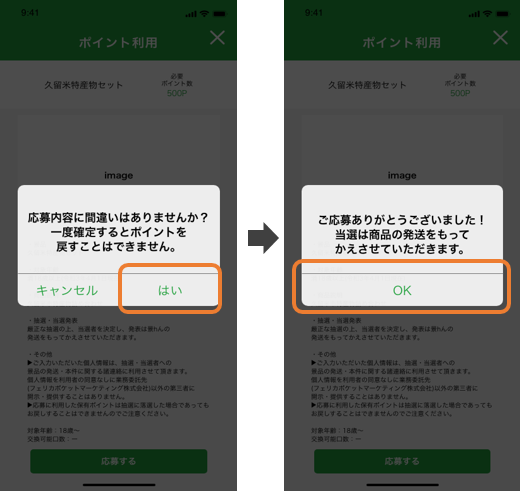 説明画像（応募内容最終確認）